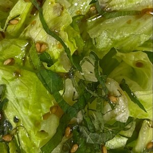 レタスと大葉のシンプルチョレギサラダ